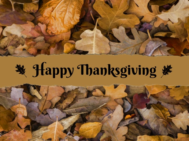 A Thanksgiving Message from National President Anne-Marie Gorman